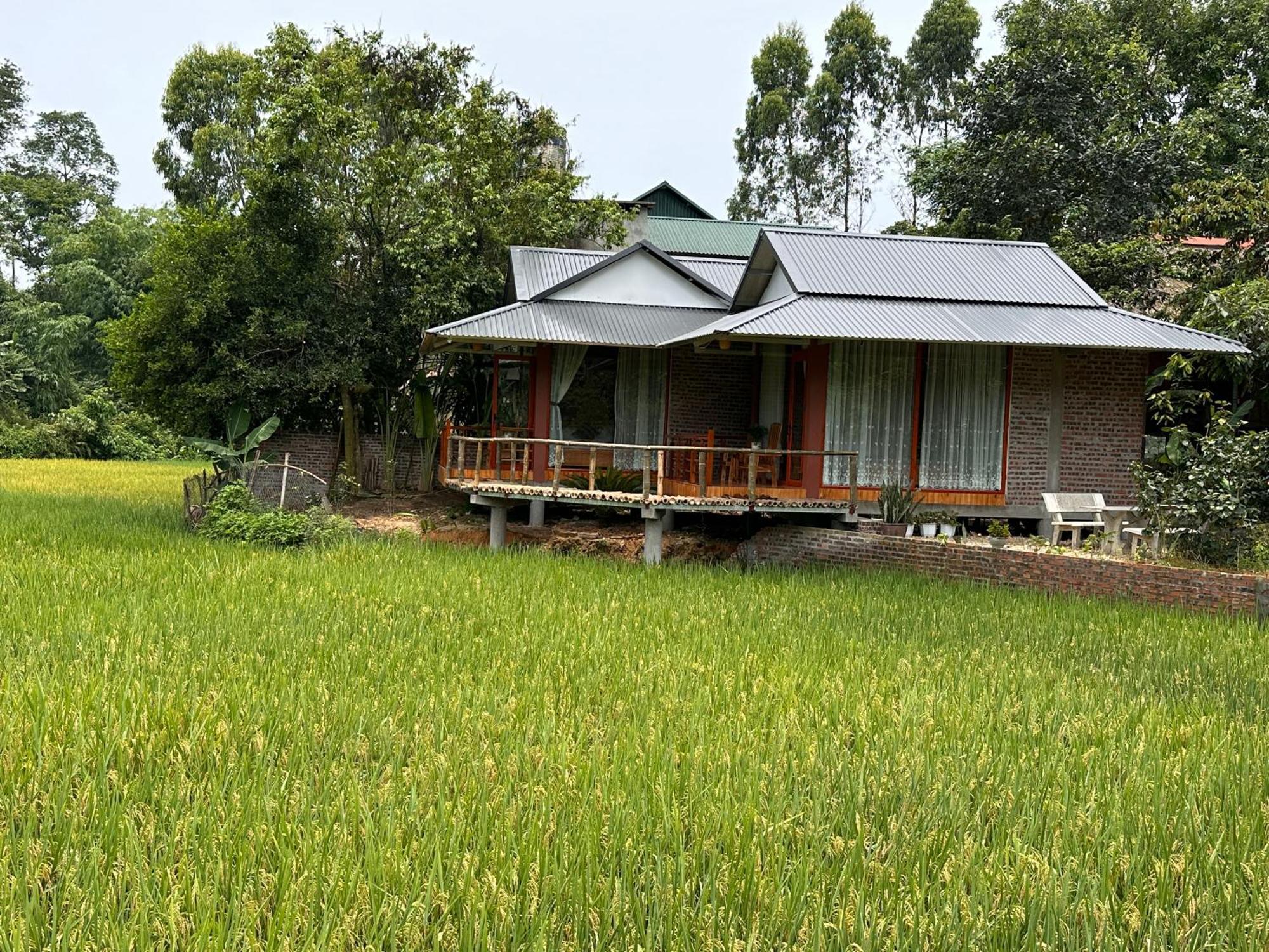 Vulinh Family -Homestay Yen Binh Extérieur photo